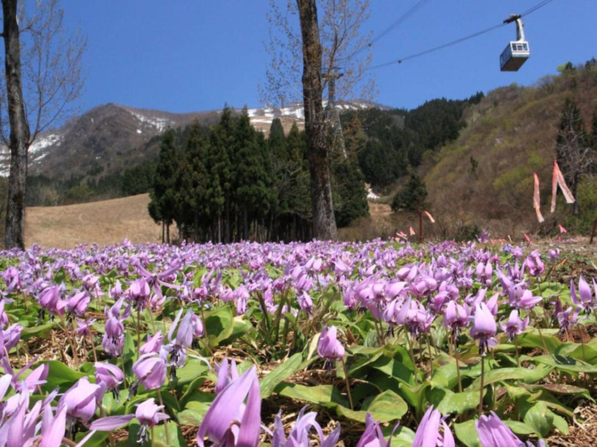 Pension Come Healing Tatami-Room- Vacation Stay 14980 Minamiuonuma Exteriör bild